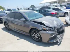 4T1T11AK1RU891112 2024 TOYOTA CAMRY