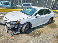 4T1T11AK1RU900438 2024 TOYOTA CAMRY
