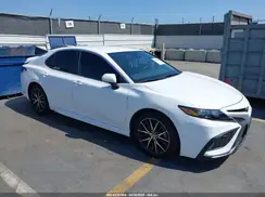 4T1T11AK2MU563383 2021 TOYOTA CAMRY