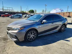4T1T11AK2PU170584 2023 TOYOTA CAMRY