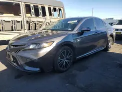 4T1T11AK2PU783398 2023 TOYOTA CAMRY