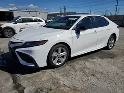 4T1T11AK2RU225229 2024 TOYOTA CAMRY
