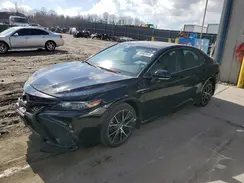 4T1T11AK3PU173025 2023 TOYOTA CAMRY