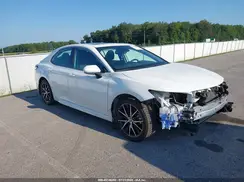 4T1T11AK3PU183134 2023 TOYOTA CAMRY