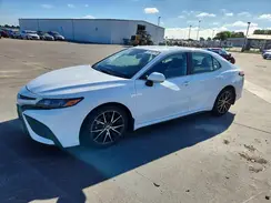 4T1T11AK3PU722562 2023 TOYOTA CAMRY