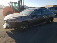 4T1T11AK3PU807174 2023 TOYOTA CAMRY