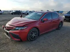4T1T11AK4MU439583 2021 TOYOTA CAMRY