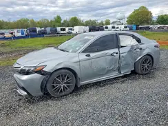 4T1T11AK4PU179819 2023 TOYOTA CAMRY