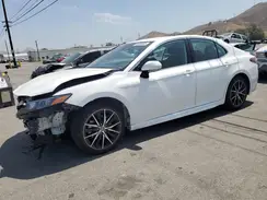 4T1T11AK4PU775755 2023 TOYOTA CAMRY