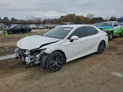 4T1T11AK4PU780082 2023 TOYOTA CAMRY