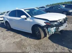 4T1T11AK4RU860467 2024 TOYOTA CAMRY