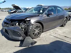 4T1T11AK5PU767969 2023 TOYOTA CAMRY