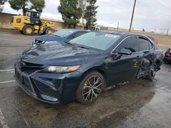 4T1T11AK6MU433431 2021 TOYOTA CAMRY