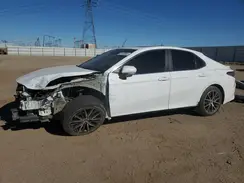 4T1T11AK6MU571020 2021 TOYOTA CAMRY