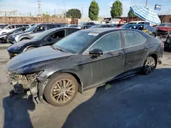 4T1T11AK6NU649992 2022 TOYOTA CAMRY