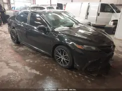 4T1T11AK6PU086171 2023 TOYOTA CAMRY
