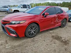4T1T11AK6PU148135 2023 TOYOTA CAMRY