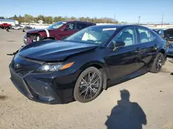 4T1T11AK6PU159295 2023 TOYOTA CAMRY