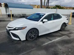 4T1T11AK6PU728923 2023 TOYOTA CAMRY