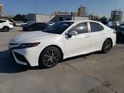 4T1T11AK6PU838810 2023 TOYOTA CAMRY