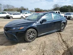 4T1T11AK6RU856436 2024 TOYOTA CAMRY