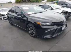 4T1T11AK7MU546224 2021 TOYOTA CAMRY