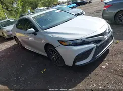 4T1T11AK7PU164683 2023 TOYOTA CAMRY