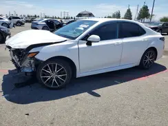 4T1T11AK7PU766791 2023 TOYOTA CAMRY