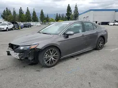 4T1T11AK7PU788676 2023 TOYOTA CAMRY