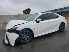 4T1T11AK7PU811485 2023 TOYOTA CAMRY