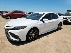4T1T11AK7RU875304 2024 TOYOTA CAMRY