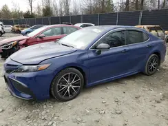 4T1T11AK8PU128517 2023 TOYOTA CAMRY