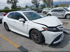 4T1T11AK8PU766248 2023 TOYOTA CAMRY