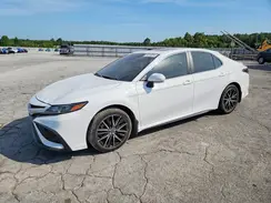 4T1T11AK8PU775547 2023 TOYOTA CAMRY