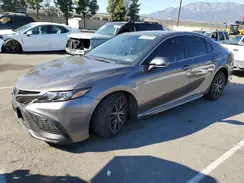 4T1T11AK8PU827467 2023 TOYOTA CAMRY