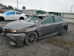 4T1T11AK8PU828134 2023 TOYOTA CAMRY