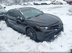 4T1T11AK9MU516559 2021 TOYOTA CAMRY