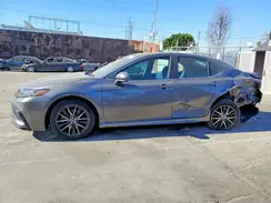 4T1T11AK9MU539260 2021 TOYOTA CAMRY