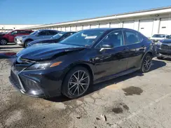 4T1T11AK9MU564305 2021 TOYOTA CAMRY