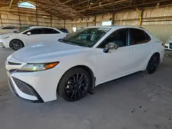 4T1T11AK9MU567656 2021 TOYOTA CAMRY