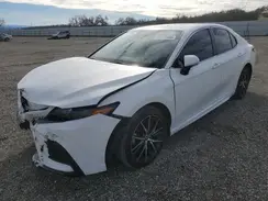 4T1T11AK9PU104548 2023 TOYOTA CAMRY