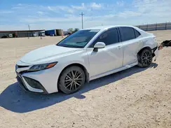 4T1T11AK9PU784161 2023 TOYOTA CAMRY