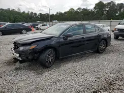 4T1T11AK9PU811004 2023 TOYOTA CAMRY