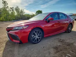 4T1T11AKXMU423047 2021 TOYOTA CAMRY