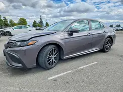 4T1T11AKXPU166864 2023 TOYOTA CAMRY