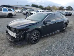 4T1T11AKXPU728410 2023 TOYOTA CAMRY