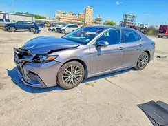 4T1T11AKXPU763061 2023 TOYOTA CAMRY