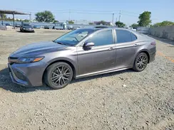 4T1T11AKXPU790194 2023 TOYOTA CAMRY