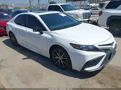 4T1T11AKXPU791507 2023 TOYOTA CAMRY