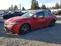 4T1T11BK1MU021979 2021 TOYOTA CAMRY